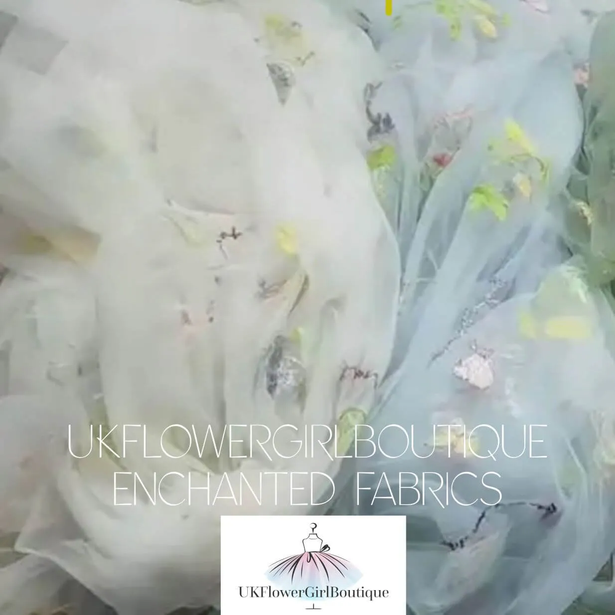 Enchanted Angel Dress - Embroidered Champagne Tulle